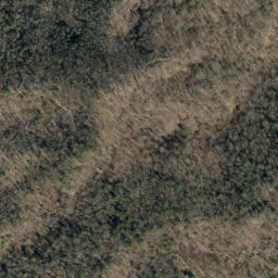 Satellite imagery of Elk Ridge, US