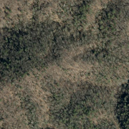 Satellite imagery of Elk Ridge, US