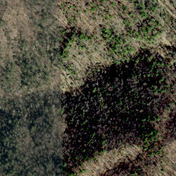 Satellite imagery of Elk Ridge, US