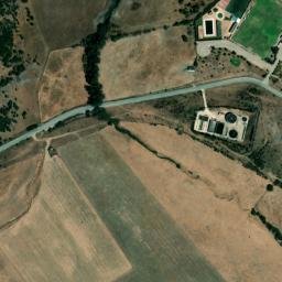 Satellite imagery of survey_point, DZ