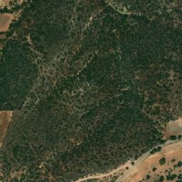 Satellite imagery of Sra Khenous, DZ