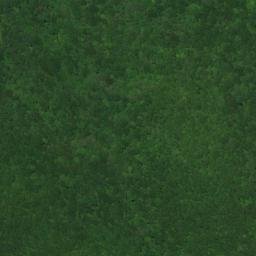Satellite imagery of Dry Branch Mine, US
