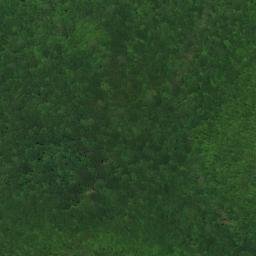 Satellite imagery of Dry Branch Mine, US