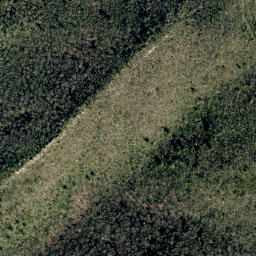 Satellite imagery of Rattlesnake Ridge, US