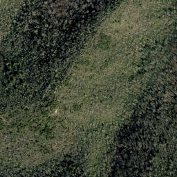 Satellite imagery of Rattlesnake Ridge, US