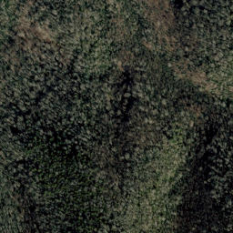 Satellite imagery of Rattlesnake Ridge, US