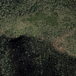 Satellite imagery of Rattlesnake Ridge, US
