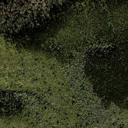 Satellite imagery of Stamping Ground Ridge, US