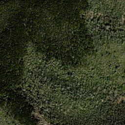 Satellite imagery of Stamping Ground Ridge, US