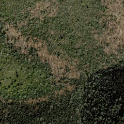 Satellite imagery of Stamping Ground Ridge, US