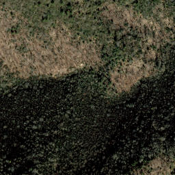 Satellite imagery of Stamping Ground Ridge, US