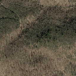 Satellite imagery of Pasleys Ridge, US