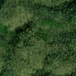 Satellite imagery of Longmire Bluff, US