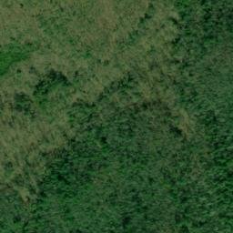 Satellite imagery of Lick Log Shaft Mine, US