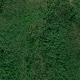 Satellite imagery of Lick Log Shaft Mine, US