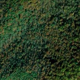 Satellite imagery of Elephant Back, US