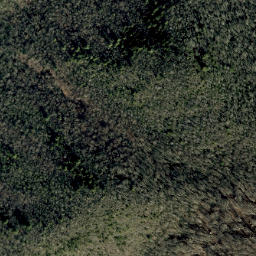 Satellite imagery of Rattlesnake Ridge, US