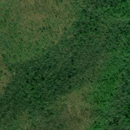 Satellite imagery of Lick Log Shaft Mine, US