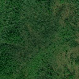 Satellite imagery of Lick Log Shaft Mine, US