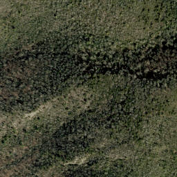 Satellite imagery of Rattlesnake Ridge, US