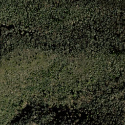 Satellite imagery of Rattlesnake Ridge, US