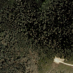 Satellite imagery of Rattlesnake Ridge, US