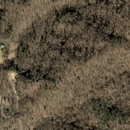 Satellite imagery of Fork Ridge, US