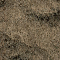 Satellite imagery of Fork Ridge, US