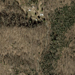 Satellite imagery of Fork Ridge, US