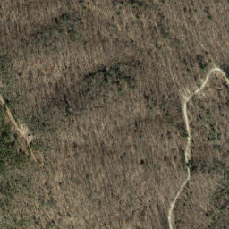 Satellite imagery of Pasleys Ridge, US