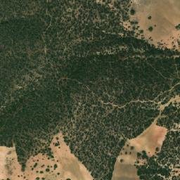 Satellite imagery of Sra Zekoun, DZ