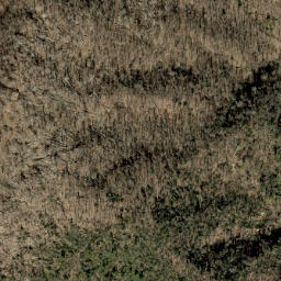 Satellite imagery of Fork Ridge, US