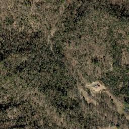 Satellite imagery of Fork Ridge, US