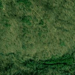 Satellite imagery of Duncan and Coans Mine, US