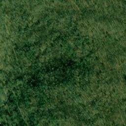 Satellite imagery of Duncan and Coans Mine, US