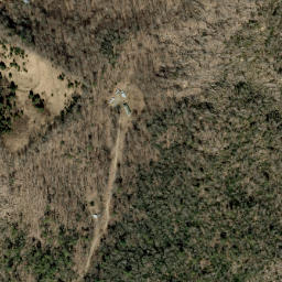 Satellite imagery of Fork Ridge, US