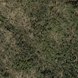 Satellite imagery of Fork Ridge, US