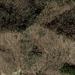 Satellite imagery of Beartown Ridge, US