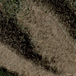 Satellite imagery of Beartown Ridge, US