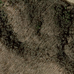 Satellite imagery of Beartown Ridge, US