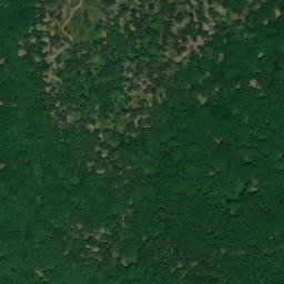 Satellite imagery of survey_point, DZ