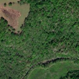 Satellite imagery of Harris Bluff, US