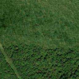Satellite imagery of Frozen Head Mine, US