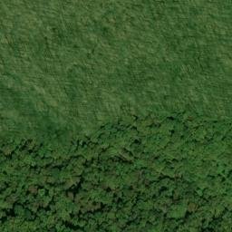 Satellite imagery of Frozen Head Mine, US