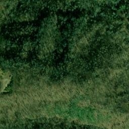 Satellite imagery of Duncan and Coans Mine, US