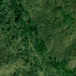 Satellite imagery of Duncan and Coans Mine, US