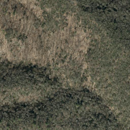 Satellite imagery of Sauls Camp Ridge, US