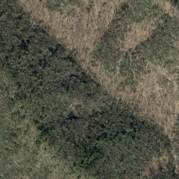 Satellite imagery of Sauls Camp Ridge, US