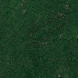Satellite imagery of survey_point, DZ