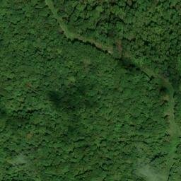 Satellite imagery of Frozen Head Mine, US